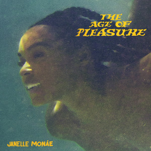 ดาวน์โหลดและฟังเพลง The French 75 (feat. Sister Nancy) พร้อมเนื้อเพลงจาก Janelle Monáe