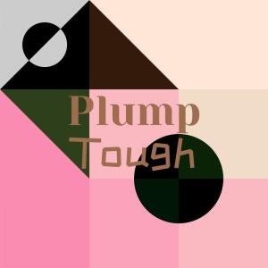 Album Plump Tough oleh Various