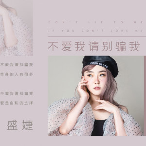 Listen to 不爱我请别骗我 song with lyrics from 盛婕