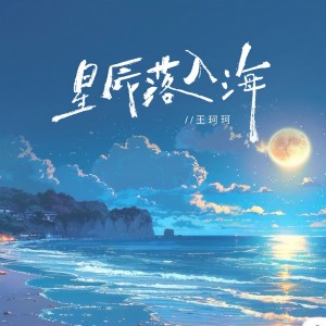 Album 星辰落入海 from 王珂珂