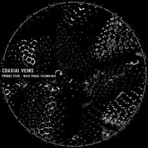 ดาวน์โหลดและฟังเพลง Primal Fear - Wild Tribal Techno Mix พร้อมเนื้อเพลงจาก Coaxial Veins