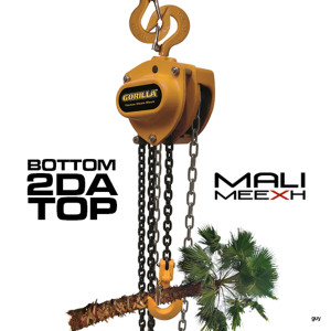 Album Bottom 2 da Top oleh Mali Meexh