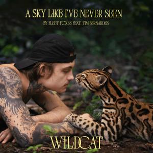 Listen to A Sky Like I've Never Seen (From the Amazon Original Movie "Wildcat") song with lyrics from Fleet Foxes