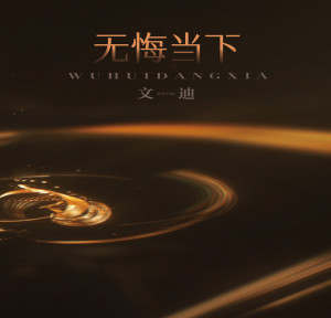 文迪（廣東河陽）的專輯無悔當下