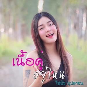 ดาวน์โหลดและฟังเพลง เนื้อคู่อยู่ไหน พร้อมเนื้อเพลงจาก ใบบัว บุปผาชน