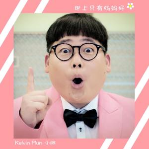 Listen to 世上只有媽媽好 song with lyrics from 小胖