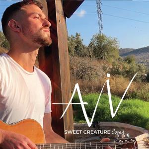Album Sweet Creature oleh Aviv
