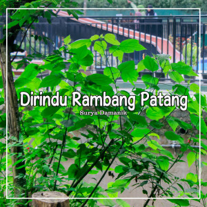 Surya Damanik的專輯Dirindu Rambang Patang
