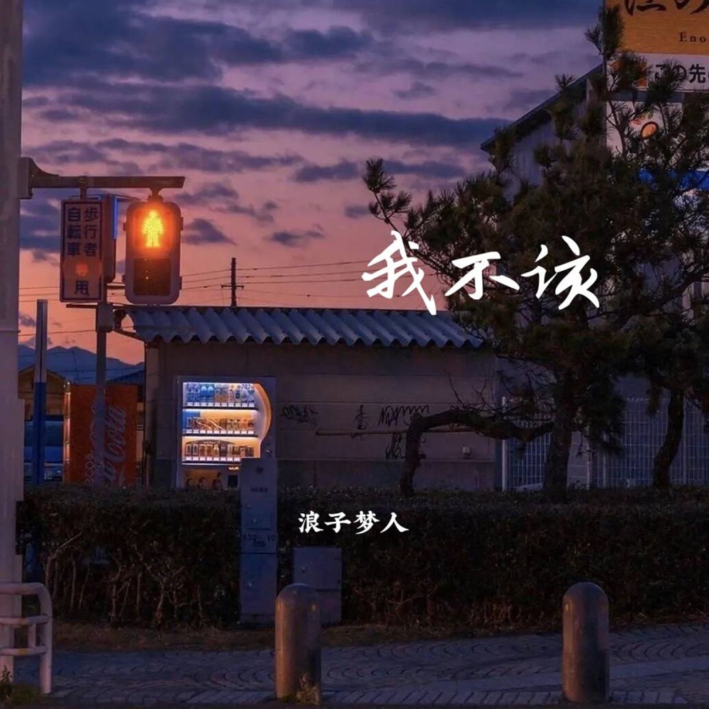 我不该 (伴奏)