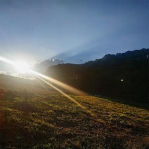 收聽middmoon的pure dream歌詞歌曲