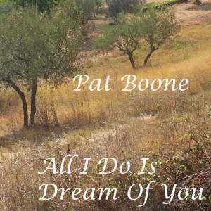 收聽Pat Boone的Sunday歌詞歌曲