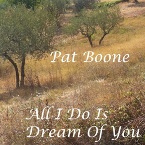 收聽Pat Boone的Begin The Beguine歌詞歌曲