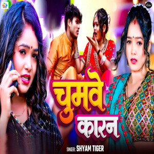 Listen to Chumave Karan song with lyrics from Shyam Tiger