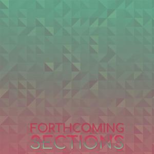 อัลบัม Forthcoming Sections ศิลปิน Various