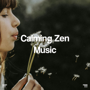 Massage Music的專輯"!!! Calming Zen Music !!!"