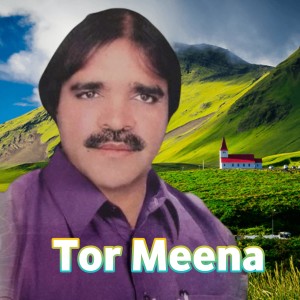 Tor Meena