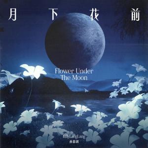ดาวน์โหลดและฟังเพลง 月下花前 พร้อมเนื้อเพลงจาก 孙郎朗Billy