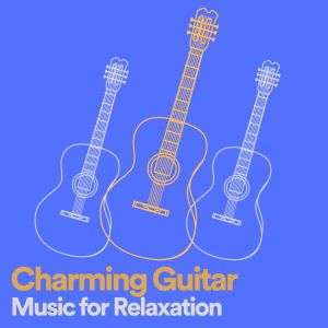 Album Charming Guitar Music for Relaxation from Acoustic Guitar Music
