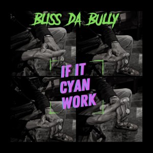 Listen to If It Cyan Work (Explicit) song with lyrics from Bliss Da Bully