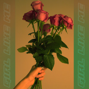 ดาวน์โหลดและฟังเพลง Girl Like Me (Explicit) พร้อมเนื้อเพลงจาก LVRA