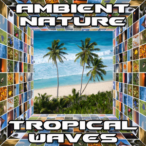 Listen to Tropical Waves (Original) song with lyrics from Ambient Nature