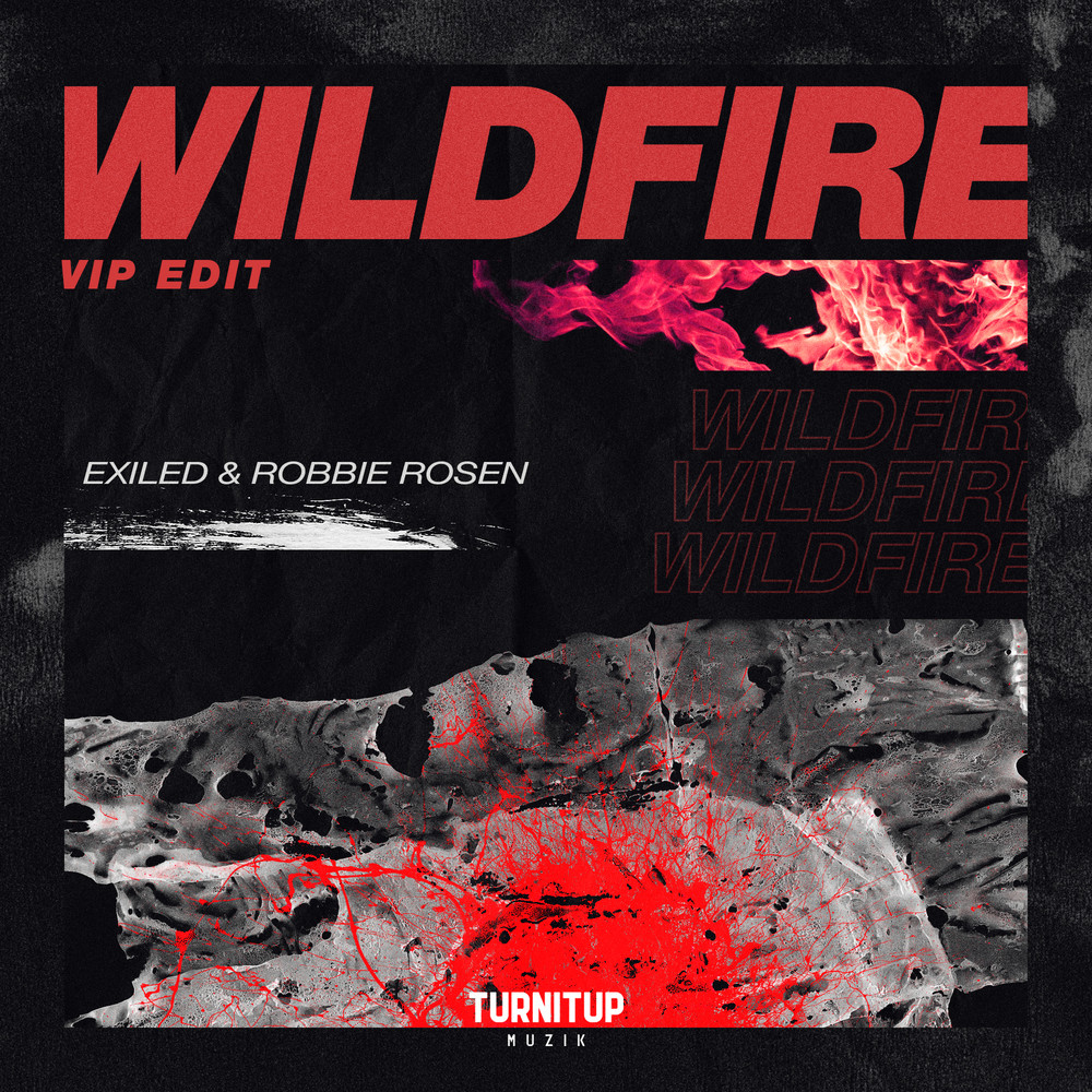 Wildfire