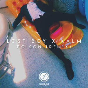 Listen to Poison (Remix) song with lyrics from Lost Boy
