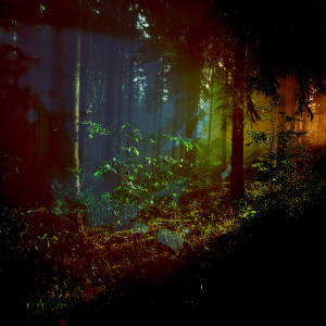 Hollie Kenniff的專輯Where the Light Falls