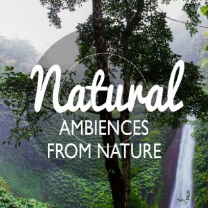 Natural Nature的專輯Natural Ambiences from Nature