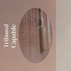 Dengarkan lagu Caiman Seasonal nyanyian REYON dengan lirik
