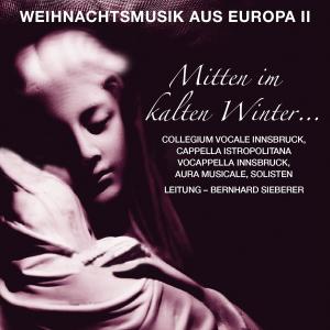 Vocappella Innsbruck的專輯Mitten im kalten Winter - Weihnachtsmusik aus Europa, Vol. II