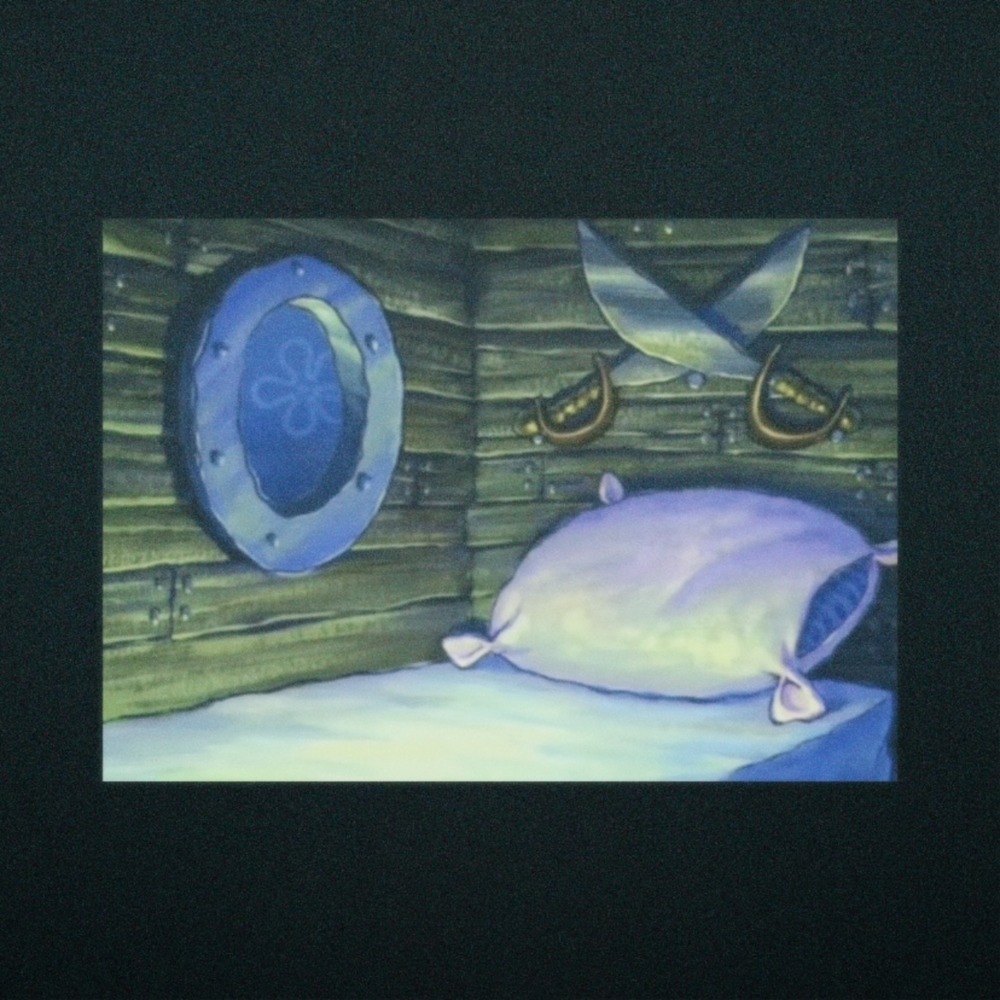 Still Life