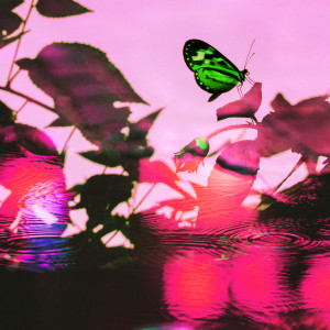 default album img