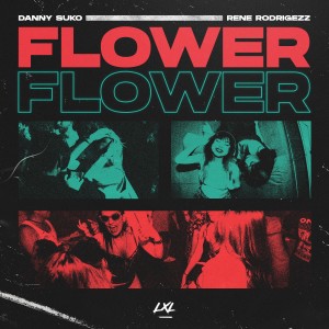 Album Flower from 