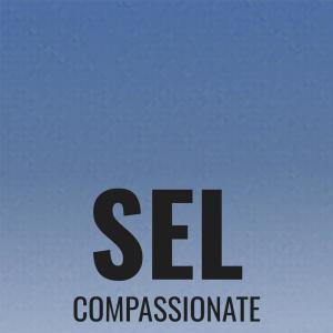 Album Sel Compassionate from Various