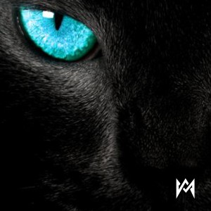 收聽Momorán的Fiera (La Pantera)歌詞歌曲