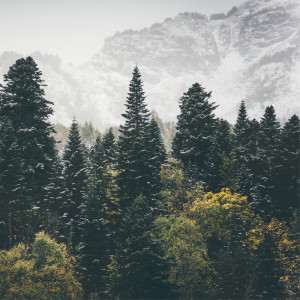 Listen to Sleeping (Ambient) song with lyrics from Yoga Flow