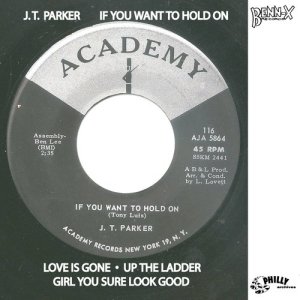 ดาวน์โหลดและฟังเพลง Love Is Gone พร้อมเนื้อเพลงจาก J.T. Parker