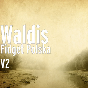 Album Fidget Polska V2 from Waldis