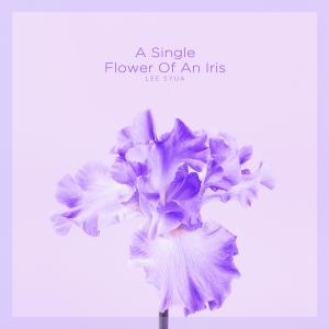 Album A Single Flower Of An Iris from 