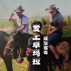 搖滾君哥的專輯愛上卓瑪拉（DJR7版）