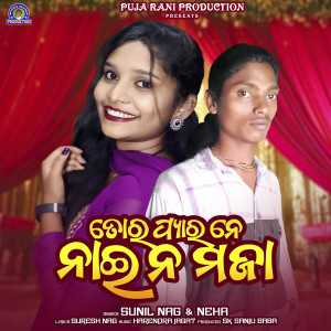 Listen to Tor Pyar Ne Nai Maja song with lyrics from Sunil Nag