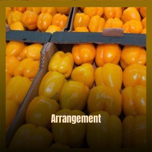 Album Arrangement from Various