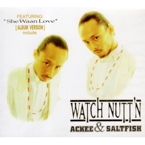 ดาวน์โหลดและฟังเพลง Dream Come True พร้อมเนื้อเพลงจาก ACKEE & SALTFISH