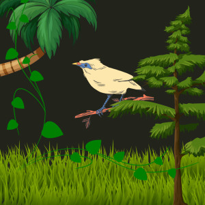 收听Severinus Journey的Suara Burung Cililin歌词歌曲