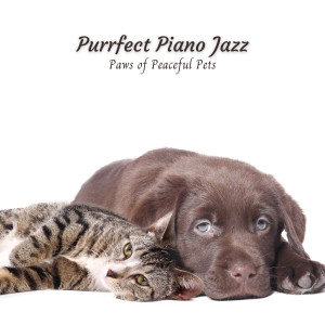 Purrfect Piano Jazz: Paws of Peaceful Pets dari Classic Jazz Piano