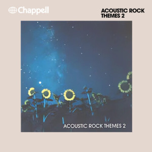 Album Acoustic Rock Themes 2 from David Joiner