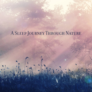 Album A Sleep Journey Through Nature (Your Comfort Place for Dreaming (Nature Soundscapes)) from Zen Natural Sounds