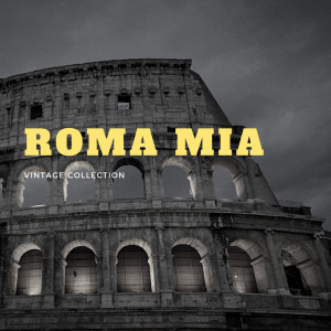 收听Robertino的L'Abito De Roma歌词歌曲