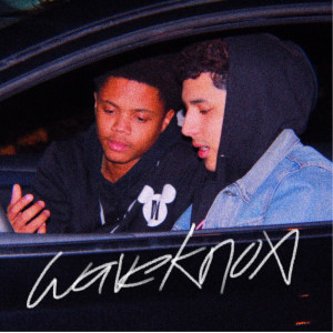 Listen to WaveKnox (Explicit) song with lyrics from Bert Knox